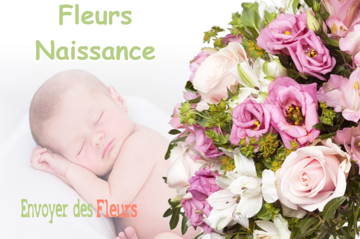 lIVRAISON FLEURS NAISSANCE à VILLARD-REYMOND